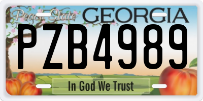 GA license plate PZB4989