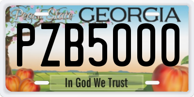 GA license plate PZB5000