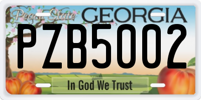 GA license plate PZB5002
