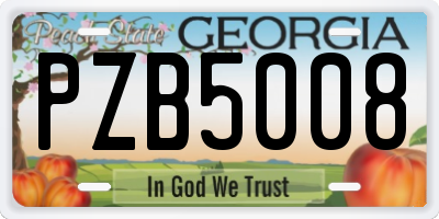 GA license plate PZB5008