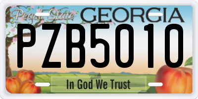 GA license plate PZB5010