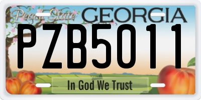 GA license plate PZB5011