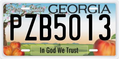 GA license plate PZB5013