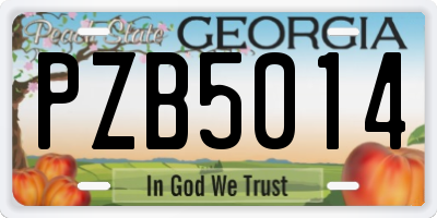 GA license plate PZB5014