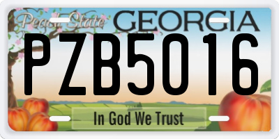 GA license plate PZB5016