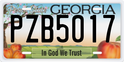 GA license plate PZB5017