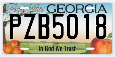 GA license plate PZB5018