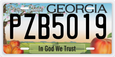 GA license plate PZB5019