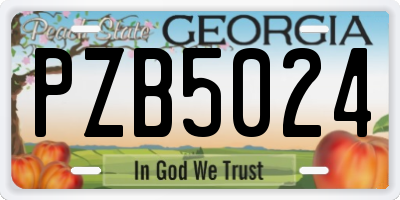 GA license plate PZB5024
