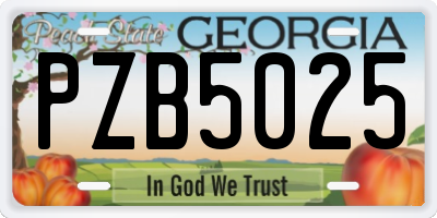 GA license plate PZB5025