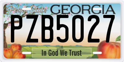 GA license plate PZB5027