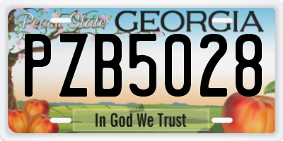 GA license plate PZB5028