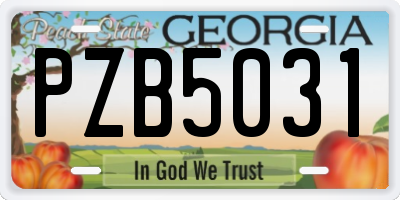 GA license plate PZB5031