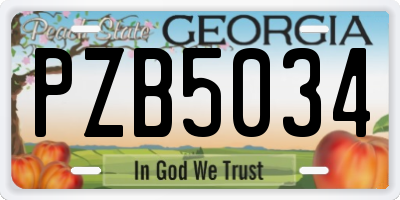 GA license plate PZB5034