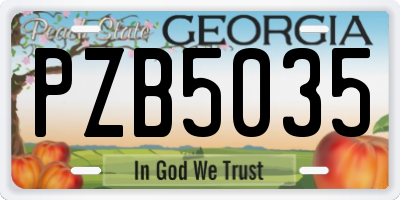 GA license plate PZB5035