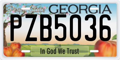GA license plate PZB5036