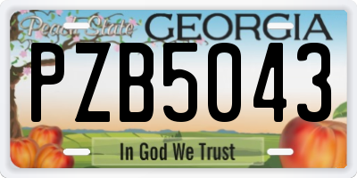 GA license plate PZB5043