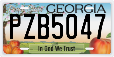 GA license plate PZB5047