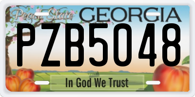 GA license plate PZB5048