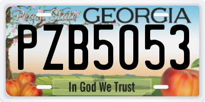 GA license plate PZB5053