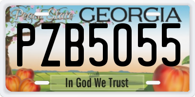 GA license plate PZB5055