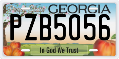 GA license plate PZB5056