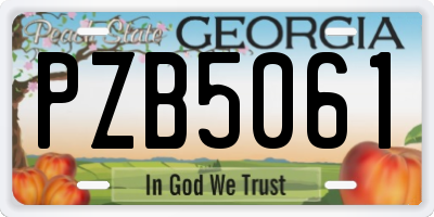 GA license plate PZB5061