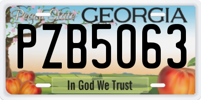 GA license plate PZB5063