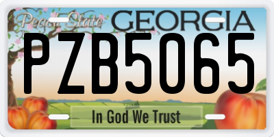 GA license plate PZB5065