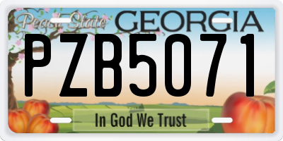 GA license plate PZB5071