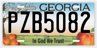 GA license plate PZB5082