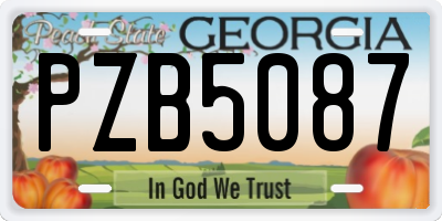 GA license plate PZB5087