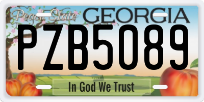 GA license plate PZB5089