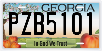 GA license plate PZB5101