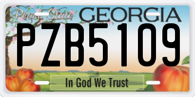 GA license plate PZB5109