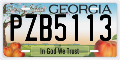 GA license plate PZB5113