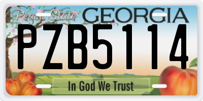 GA license plate PZB5114