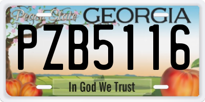 GA license plate PZB5116