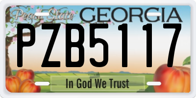 GA license plate PZB5117