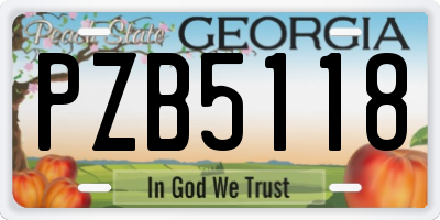 GA license plate PZB5118