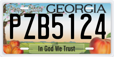 GA license plate PZB5124