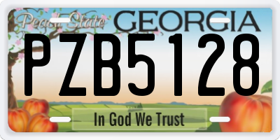 GA license plate PZB5128