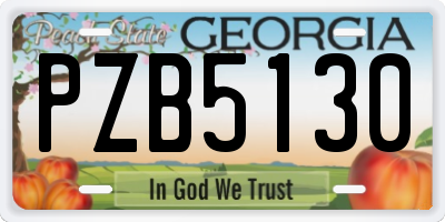 GA license plate PZB5130
