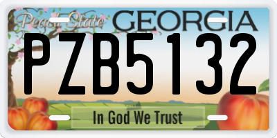 GA license plate PZB5132