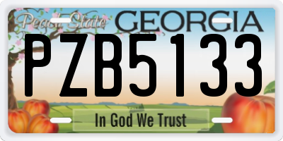 GA license plate PZB5133