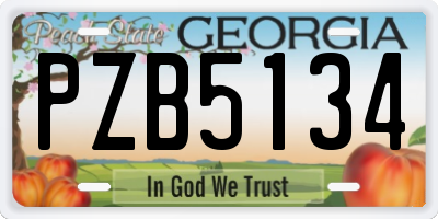 GA license plate PZB5134