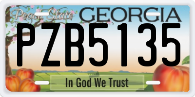 GA license plate PZB5135