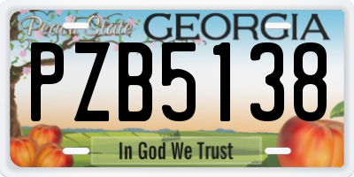 GA license plate PZB5138