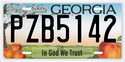 GA license plate PZB5142