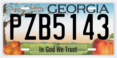 GA license plate PZB5143